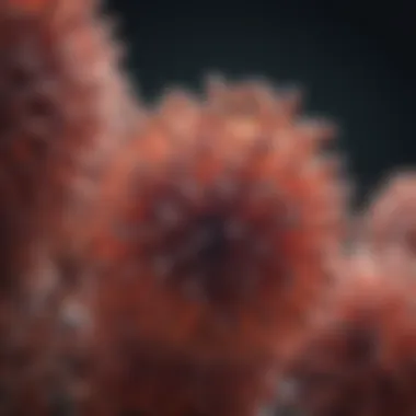 Magnificent An In-Depth Exploration of the BL21 E. coli Strain Magnificent An In-Depth Exploration of the BL21 E. coli Strain