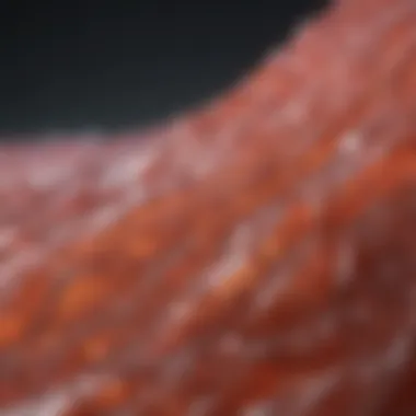 Magnificent Collagen Type 4: Sources and Significance