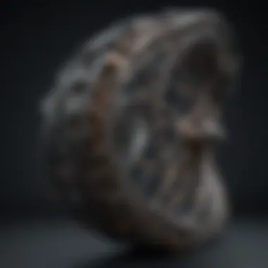 Magnificent Exploring the Radium 223 Decay Chain: A Comprehensive Analysis Magnificent Exploring the Radium 223 Decay Chain: A Comprehensive Analysis
