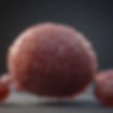 Magnificent T3a Prostate Cancer Treatment: An In-Depth Exploration