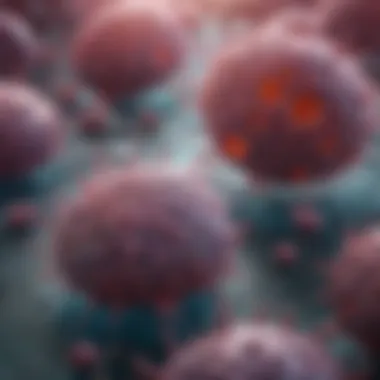 Magnificent The Role of Caspase-3 in Apoptosis: Mechanisms and Implications Magnificent The Role of Caspase-3 in Apoptosis: Mechanisms and Implications