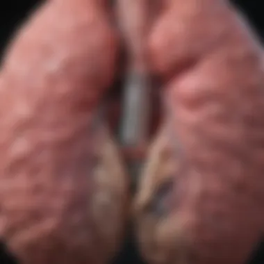 Magnificent Understanding a 5 cm Tumor in the Lung: Clinical Implications and Insights