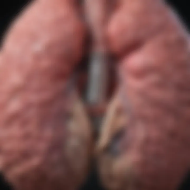Magnificent Understanding a 5 cm Tumor in the Lung: Clinical Implications and Insights