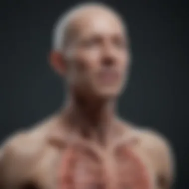 Research Findings on Autonomic Nervous System Health Graphical summary of recent research findings related to autonomic nervous system health implications.