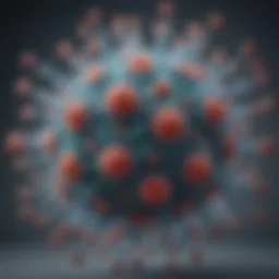 Diagram illustrating the structure of adeno-associated viruses