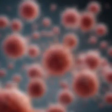 A detailed view of different types of cancer vaccines