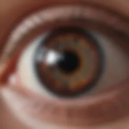 Detailed illustration of the anatomy of the eye, highlighting various components.