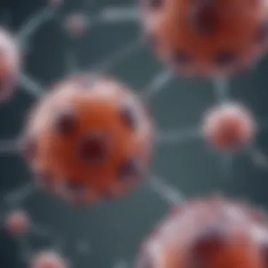 Notable An In-Depth Analysis of DPP-4 Inhibitors: Mechanisms, Effects, and Applications Notable An In-Depth Analysis of DPP-4 Inhibitors: Mechanisms, Effects, and Applications