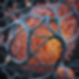 Detailed illustration of the RET protein structure