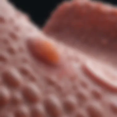 An In-Depth Examination of Stage 3 Infiltrating Ductal Carcinoma Summary An In-Depth Examination of Stage 3 Infiltrating Ductal Carcinoma Summary