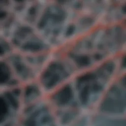 Illustration depicting the structure of biocompatible polymers