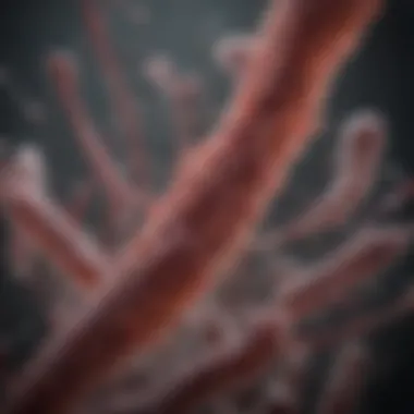 An In-Depth Exploration of the BL21 E. coli Strain Summary An In-Depth Exploration of the BL21 E. coli Strain Summary