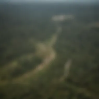 Aerial view of deforested areas in the Amazon showing stark contrasts with untouched forest regions.