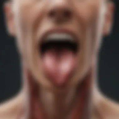Understanding Throat Anatomy Anatomical diagram of the throat