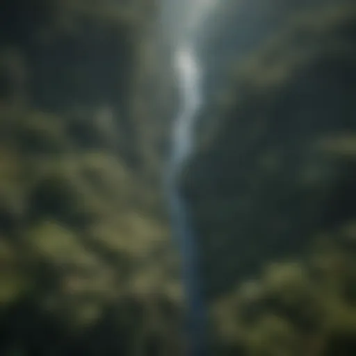 Aerial view of the Amazon rainforest showcasing its vast biodiversity.