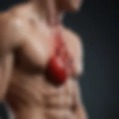 Understanding Heart Rhythm in Athletes A dynamic representation of an athlete's heart rhythm