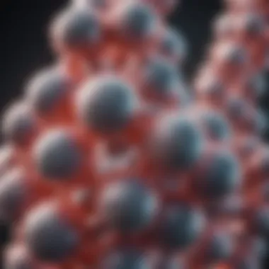 Understanding the Biochemical Structure of Beta Sitosterol Biochemical structure of beta sitosterol