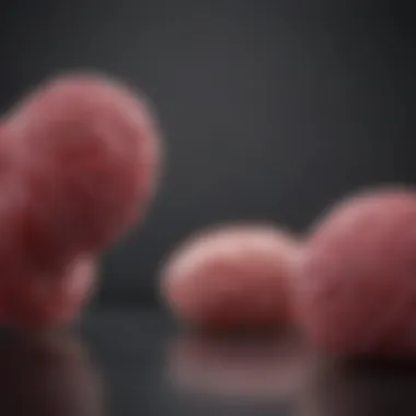 Research Findings on Beta Sitosterol and Prostate Cancer Research findings on prostate cancer and beta sitosterol