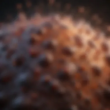 Immunological Responses in Melanoma Visualization of immunological responses in melanoma treatment