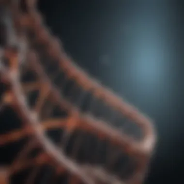 Biotechnological Approaches in Protein-DNA Research Infographic on biotechnological methodologies