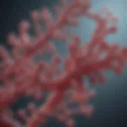 CCN1 Antibody: A Comprehensive Review of Its Significance in Biomedical Research Introduction