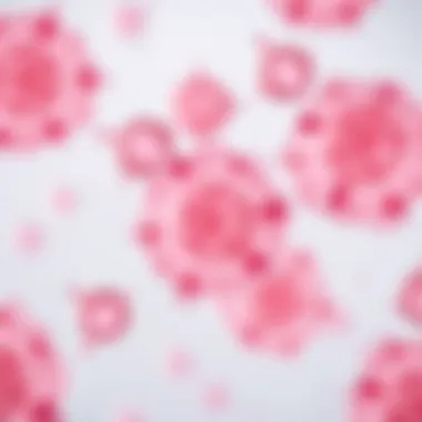 Microscopic Examination of Ovarian Cancer Cells Microscopic view of ovarian cancer cells