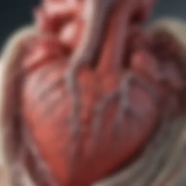 Clinical Implications of LVEF Infographic highlighting clinical implications of LVEF in heart disease