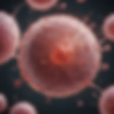 Understanding Stem Cell Transplantation Diagram illustrating stem cell transplantation