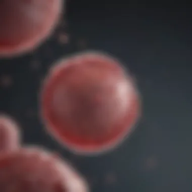 Outcomes of Stem Cell Transplants in CML Graph showing outcomes of stem cell transplants