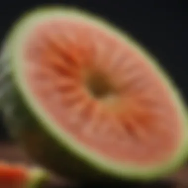 Illustration depicting the biochemical properties of bitter melon