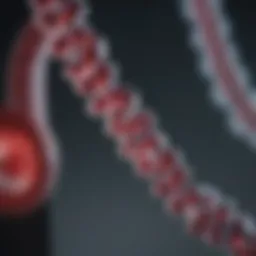 Molecular structure illustrating RT-PCR methodology