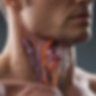 Impact on the Respiratory System Diagram showing respiratory system affected by cystic fibrosis