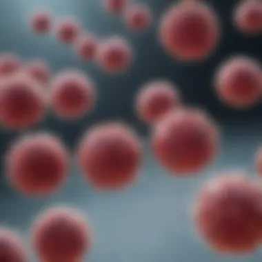Comprehensive Exploration of Serine Protease 3 Antibodies Introduction Comprehensive Exploration of Serine Protease 3 Antibodies Introduction