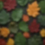 A diverse array of plant species showcasing various leaf shapes and colors.