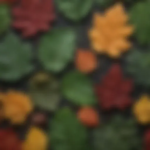 A diverse array of plant species showcasing various leaf shapes and colors.