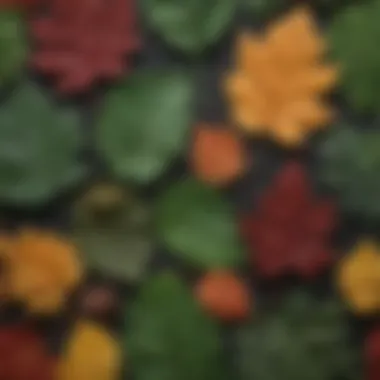 Diversity in Leaf Morphology A diverse array of plant species showcasing various leaf shapes and colors.