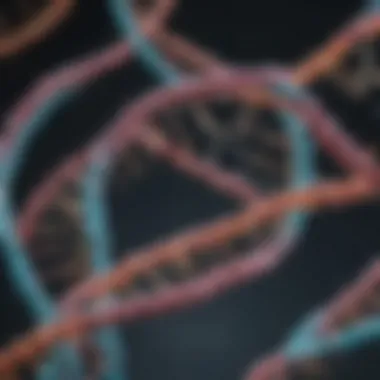 Understanding the Conversion of Proteins to DNA Visual representation of the protein-to-DNA conversion process