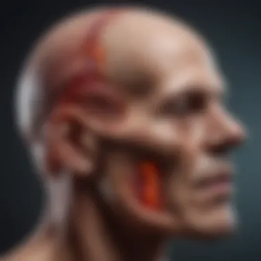 Imaging Methods in Cranial Metastasis Diagnosis Advanced imaging techniques used for diagnosing cranial metastasis