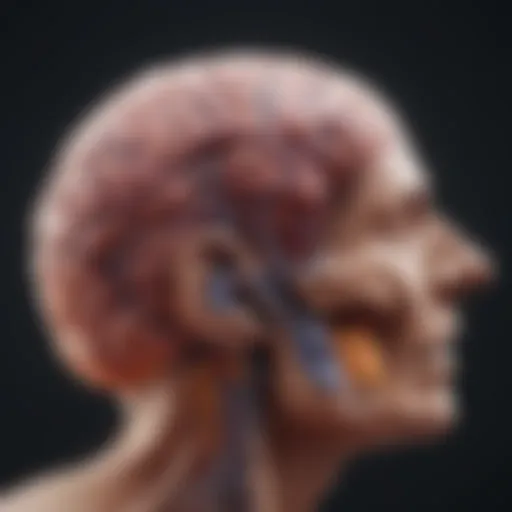 Pathological view of cranial metastasis highlighting cancerous cells