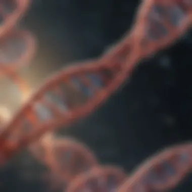 Microscopic view of DNA fibers after precipitation