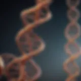 DNA double helix structure