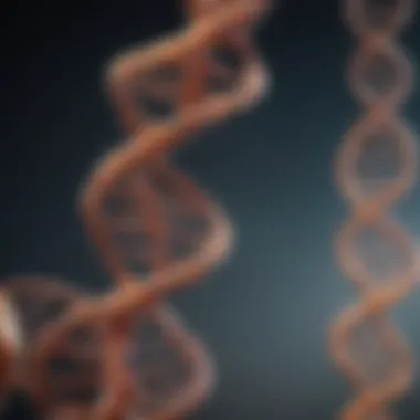 DNA double helix structure