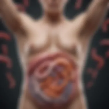 The Role of Gut Microbiota in Weight Regulation Illustration depicting gut microbiota diversity
