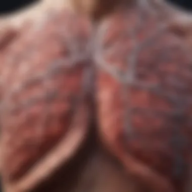 Diagram illustrating the progression of idiopathic pulmonary fibrosis