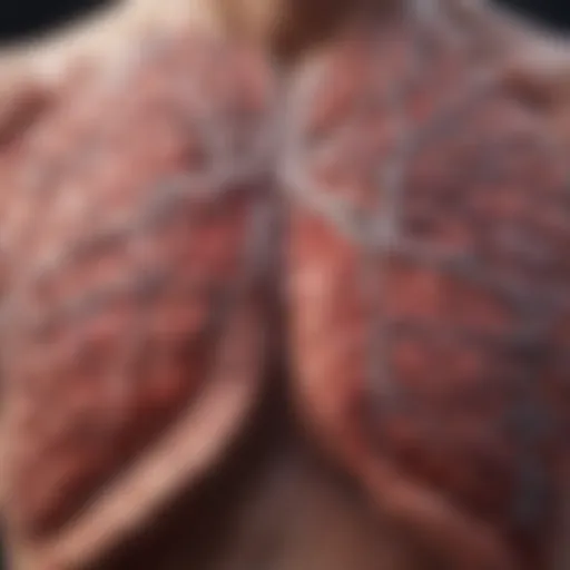 Diagram illustrating the progression of idiopathic pulmonary fibrosis