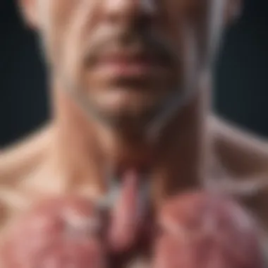 Common Symptoms of Idiopathic Pulmonary Fibrosis Infographic showing common symptoms of idiopathic pulmonary fibrosis