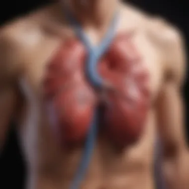 Visualizing Left Ventricular Ejection Fraction Graphical representation of left ventricular ejection fraction