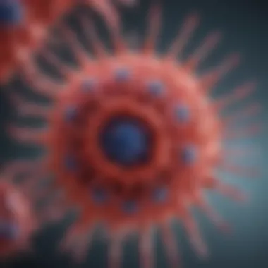 Schematic representation of adenoviral vector construction