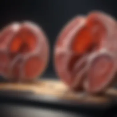 Infographic depicting the implications of kidney size in medical diagnostics