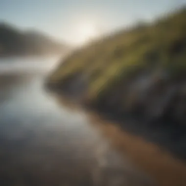 The role of coastal plants in stabilizing shorelines and preventing erosion.